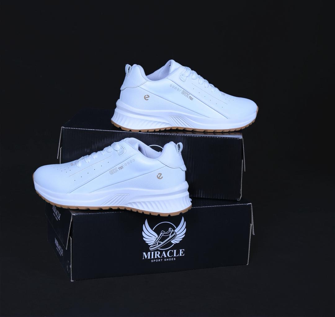 کفش میراکل مدل ecco GTX